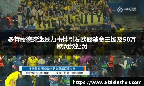 多特蒙德球迷暴力事件引发欧冠禁赛三场及50万欧罚款处罚