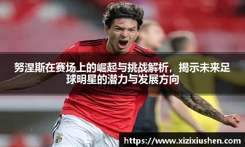 努涅斯在赛场上的崛起与挑战解析，揭示未来足球明星的潜力与发展方向